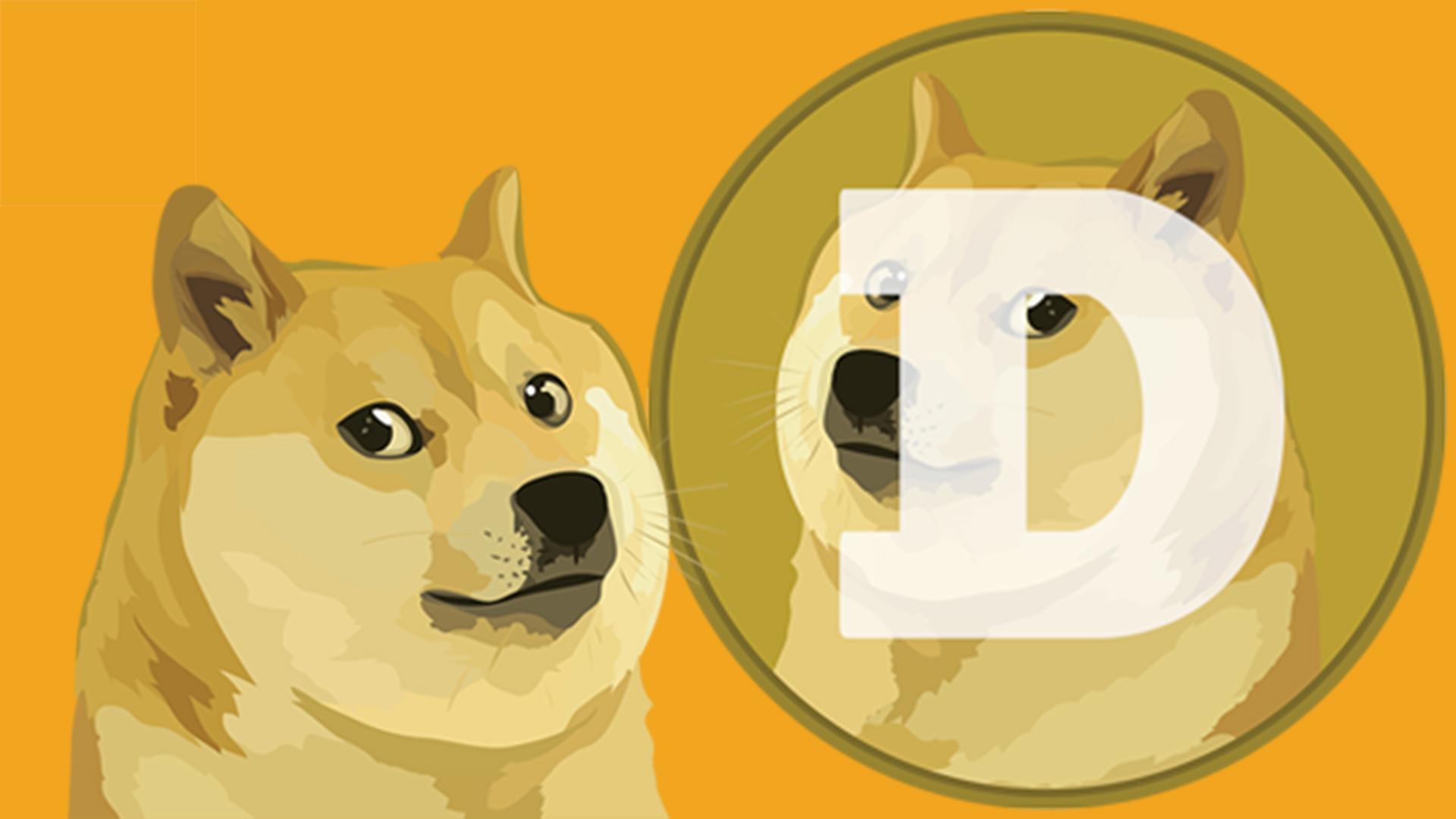 Connect to DogeCoin (DOGE) Node and Explorer | NOWNodes