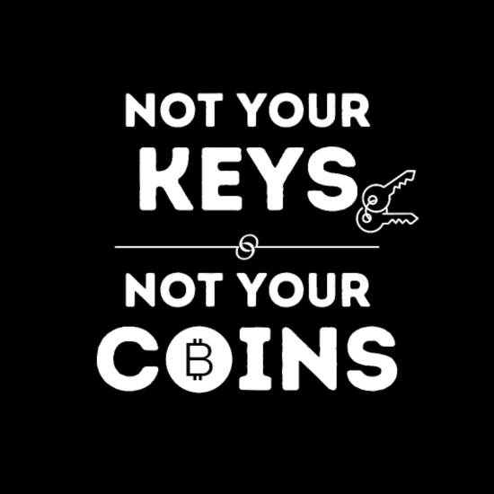 Not Your Keys, Not Your Coins: How to Protect Your Assets - Morpher