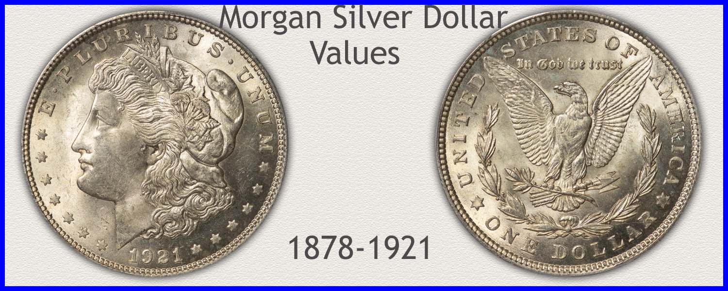 Morgan Silver Dollar Value | Discover Their Worth