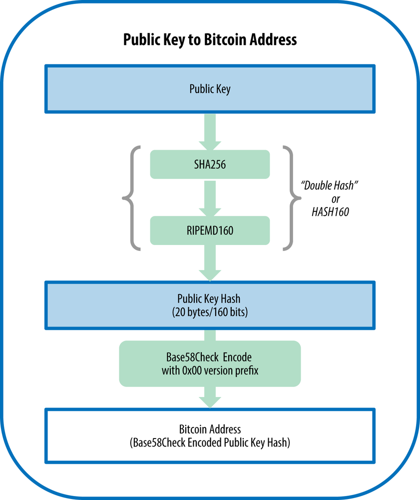 CashAddr Addresses Are Here