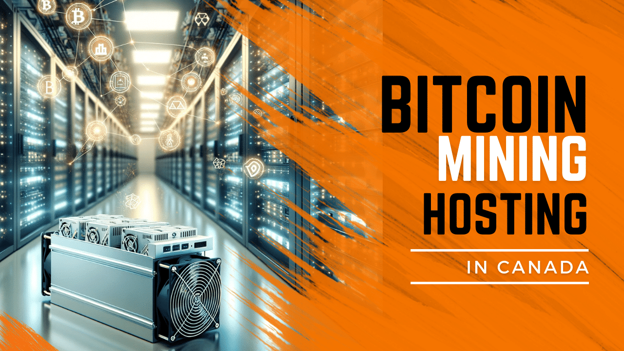 What is Bitcoin Hosting? Everything about Bitcoin Web Hosting - Royalhost Blog