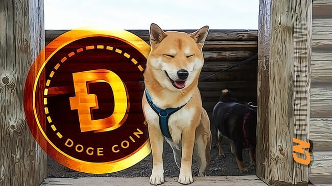 5 DOGE to NGN (Dogecoin to Nigerian Naira) - BitcoinsPrice