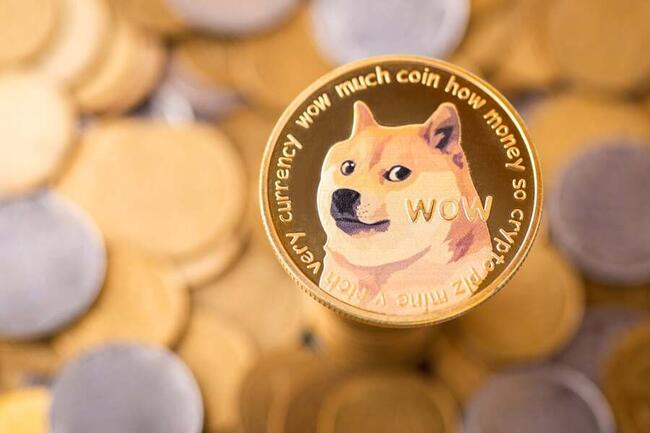 1 DOGE to NGN - Dogecoins to Nigerian Nairas Exchange Rate