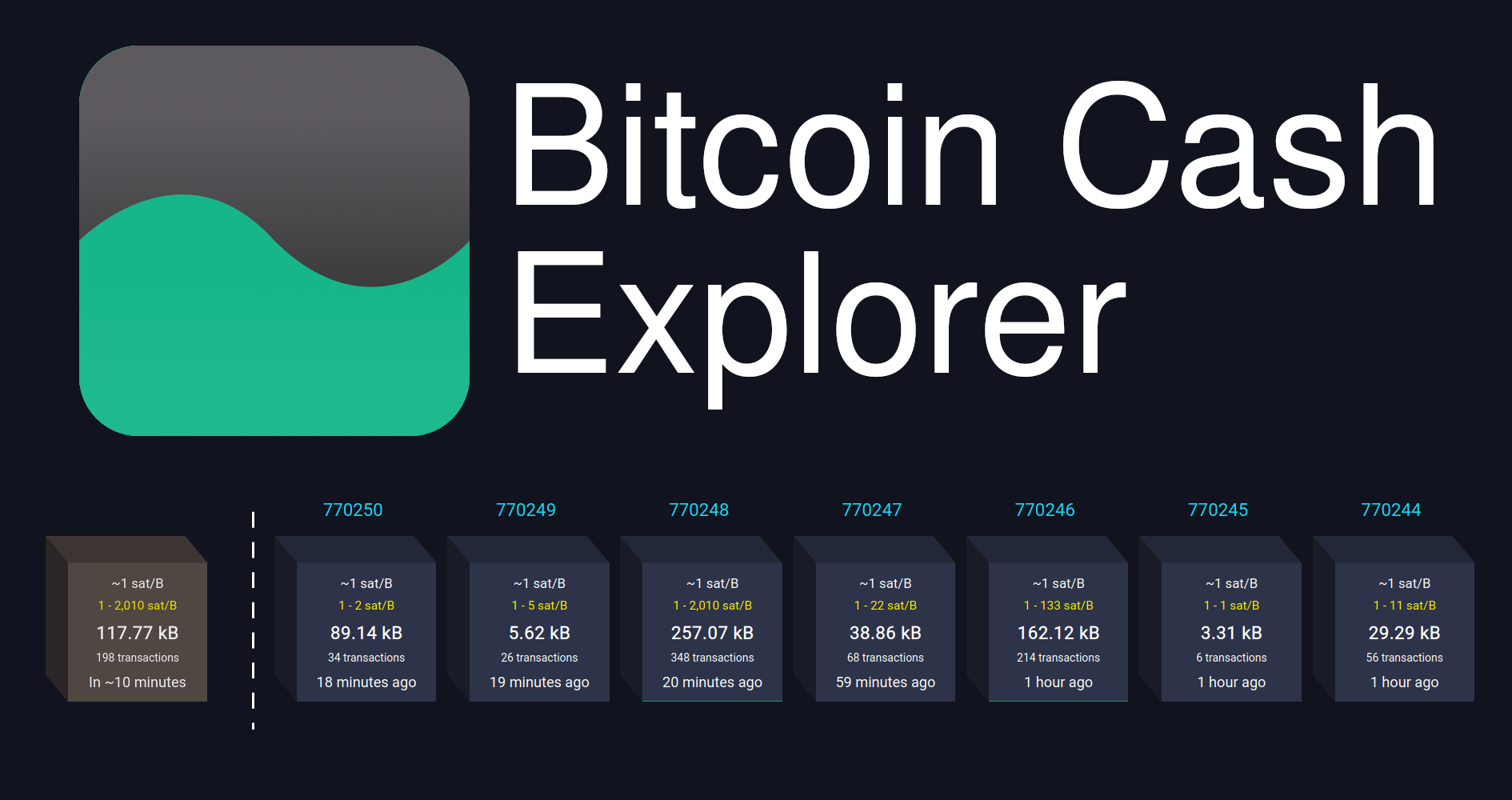 Bitcoin Cash Explorer