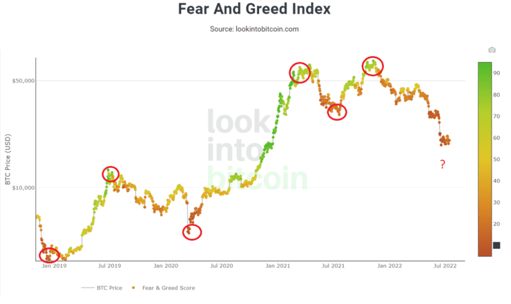 Crypto Fear and Greed Index - Bitcoin Momentum Tracker