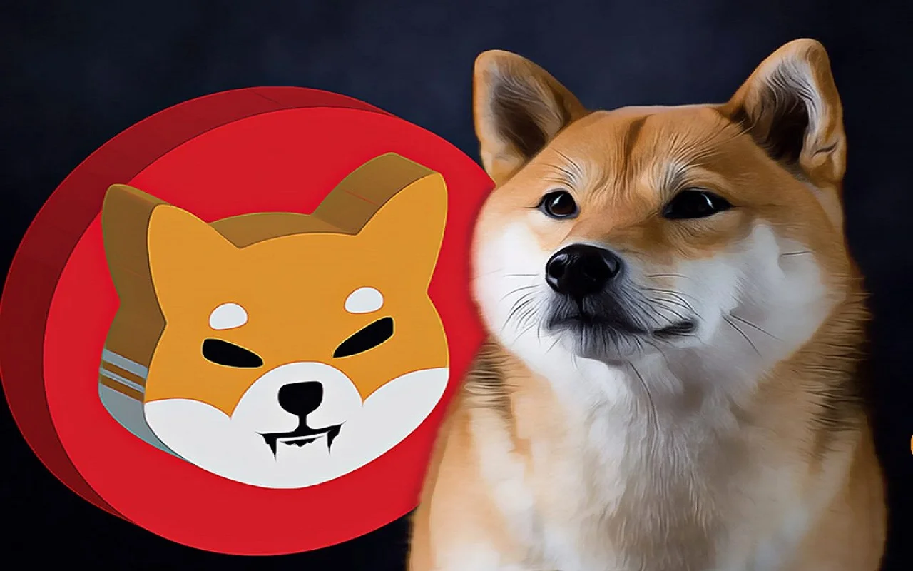 Convert USD to DOGE - US Dollar to Dogecoin Converter | CoinCodex