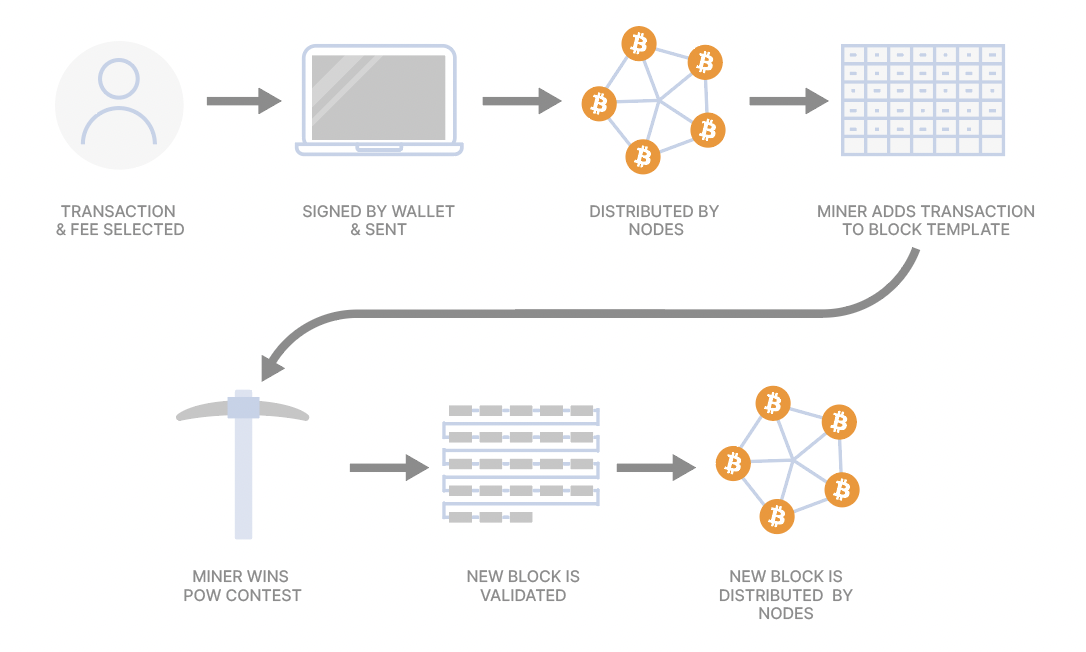 Full node - Bitcoin Wiki