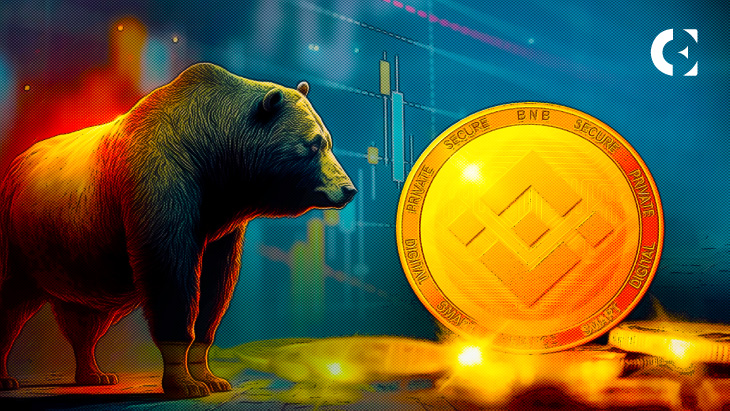 Bear Coin (BEAR) Token Inflow to Smart Contract in Binance (BNB) Smart Chain Mainnet