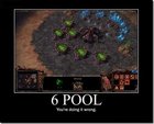 6 Pool (vs. Protoss) - Liquipedia - The StarCraft II Encyclopedia