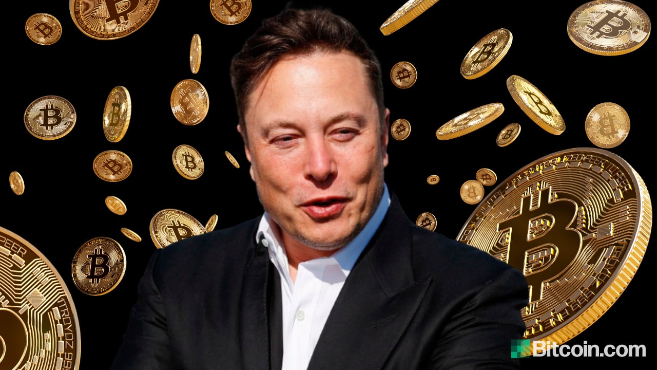 Fake Elon Musk TeslaCoin investment scam costs victims at least $