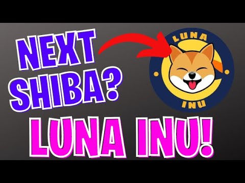 Luna Inu – Dog Shelter