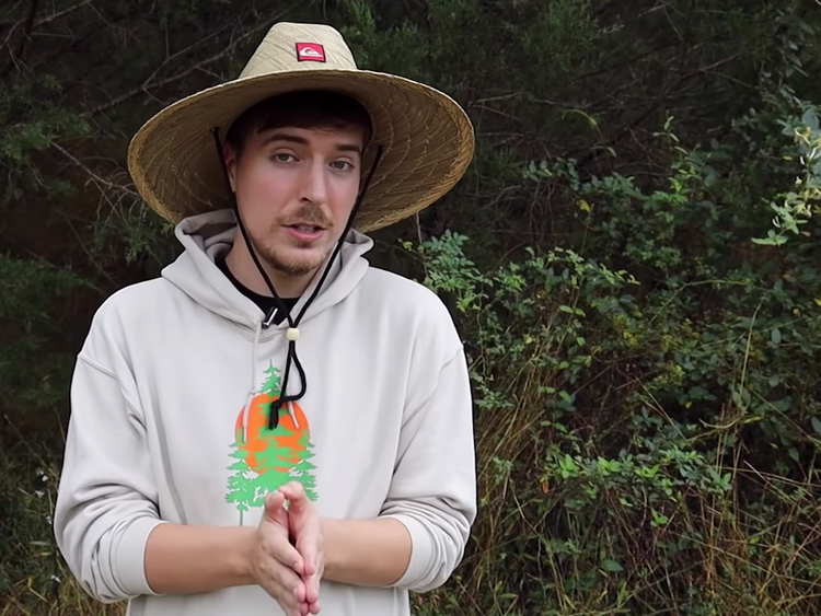 YouTuber MrBeast's Tree-Planting Campaign Hits $20 Million Goal Early