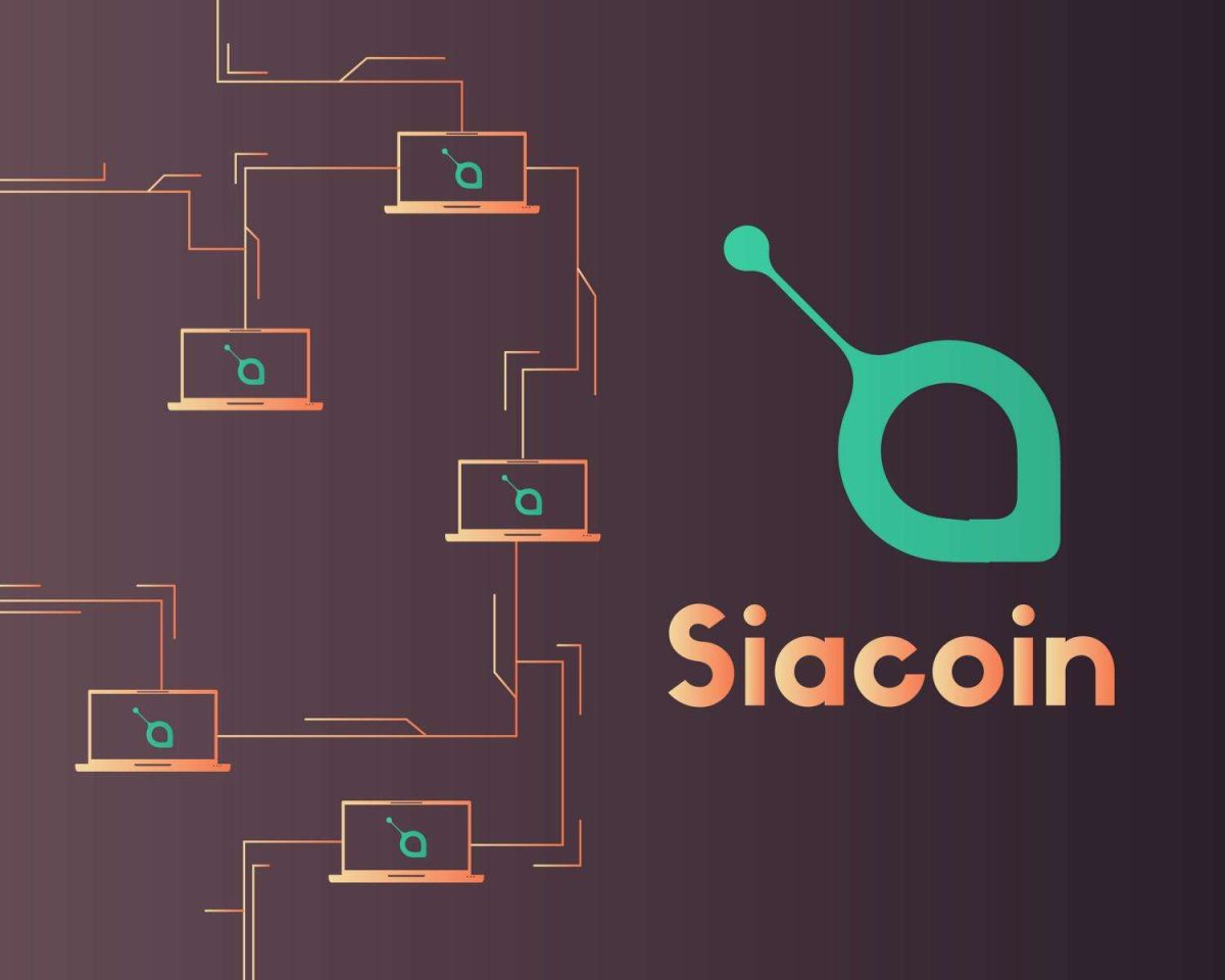 Siacoin price live today (01 Mar ) - Why Siacoin price is up by % today | ET Markets