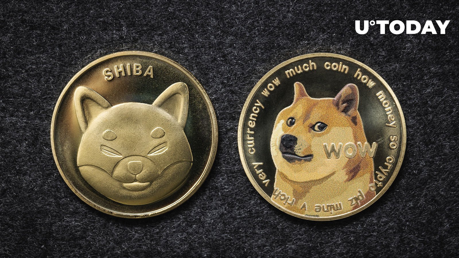 1 DOGE to GBP - Dogecoins to British Pounds Exchange Rate