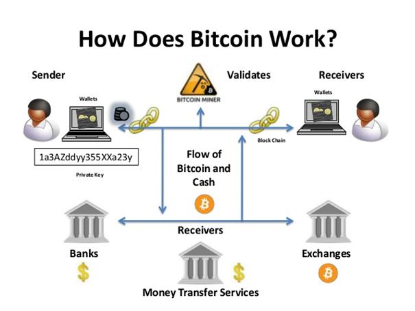 Bitcoin vs Ethereum: Differences, Advantages and Disadvantages – Which is Better? | cryptolove.fun