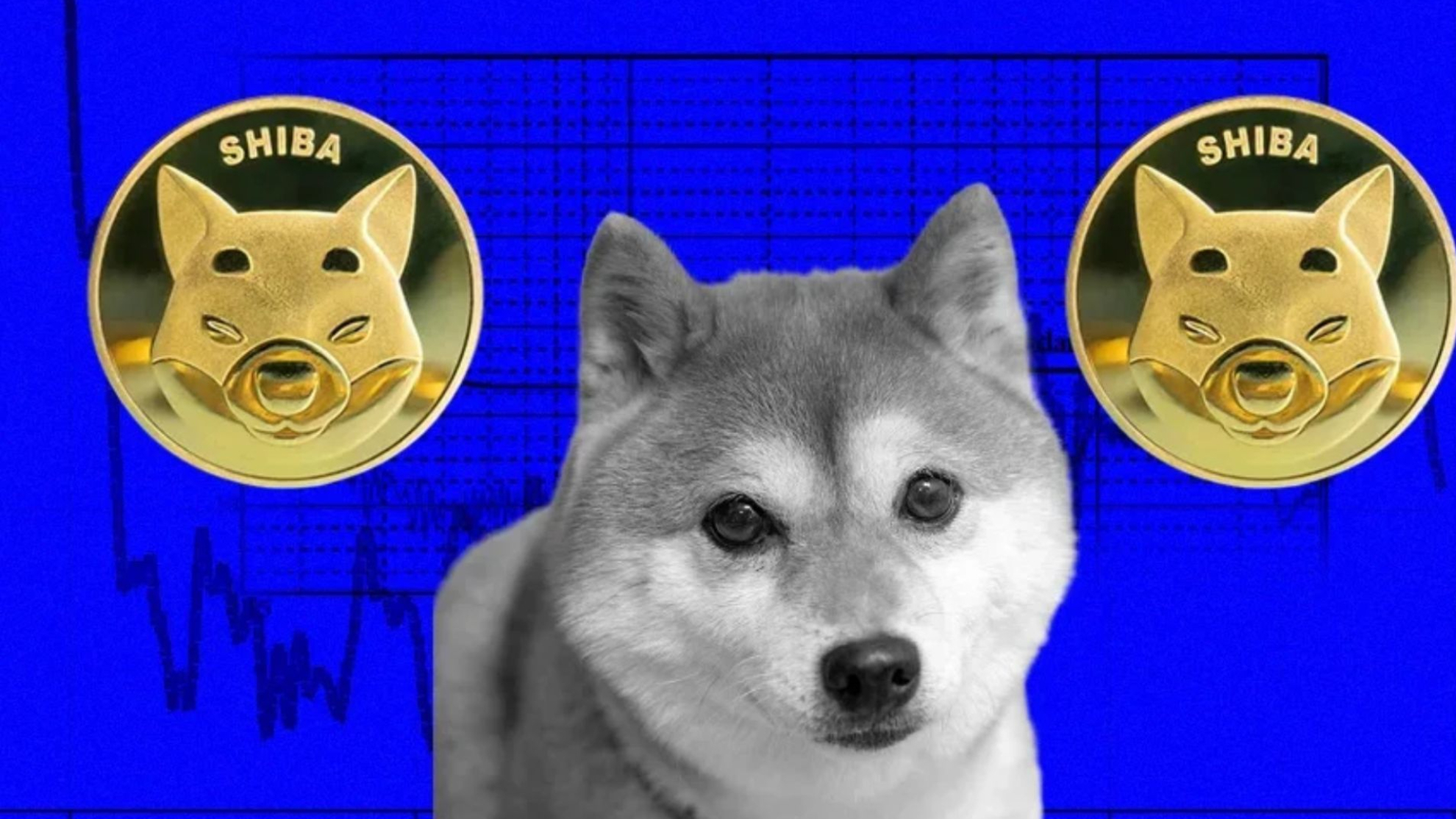 Luna Inu Price | LINU Price index, Live chart & Market cap | OKX