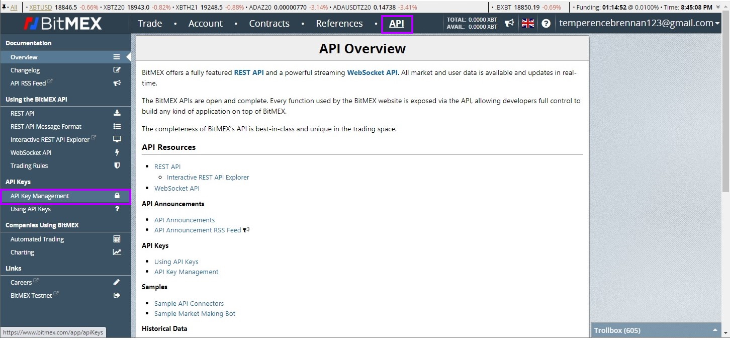 An Overview of the BitMEX APIs