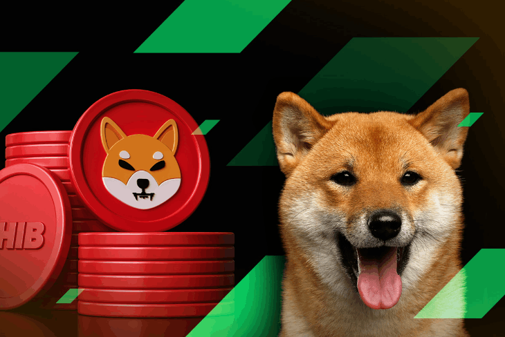 Live Dogecoin Price – How Does it Compare to Other Cryptocurrencies? - cryptolove.fun