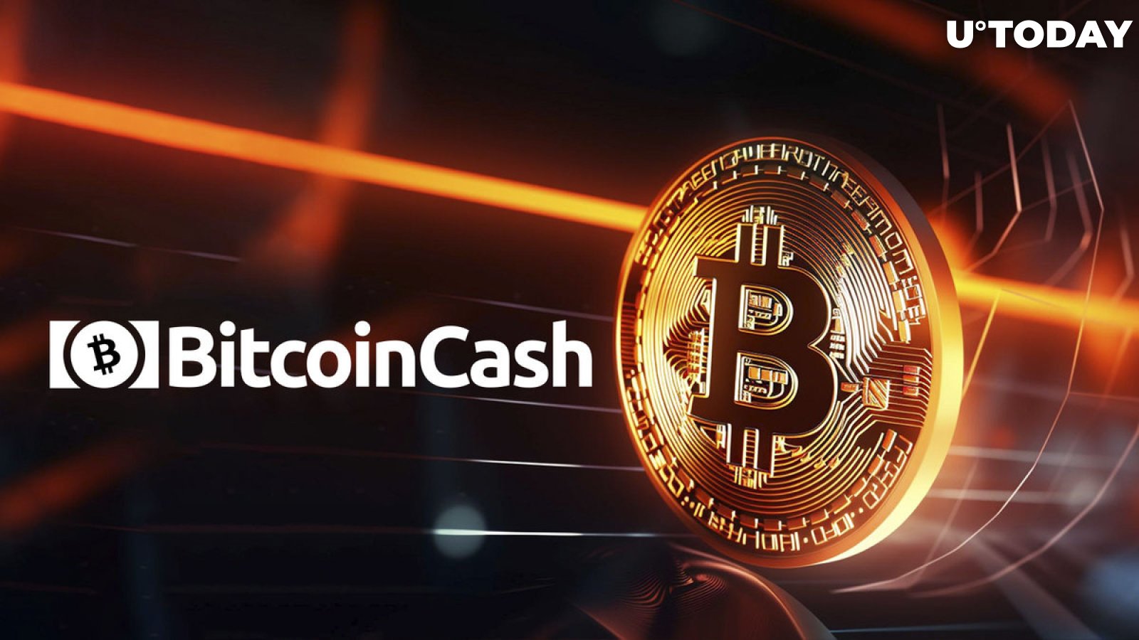 Why Bitcoin Cash Is Rising