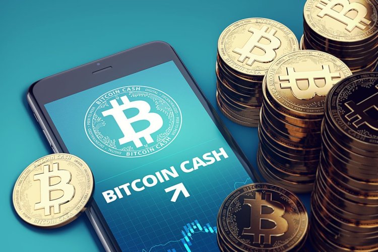 1 BCH to USD - Bitcoin Cash to US Dollars Exchange Rate