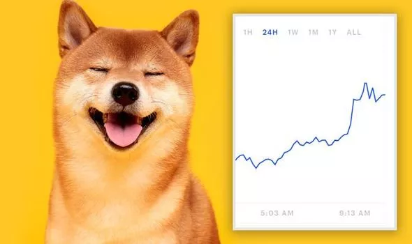 Dogecoin Price | DOGE Price Index and Live Chart - CoinDesk