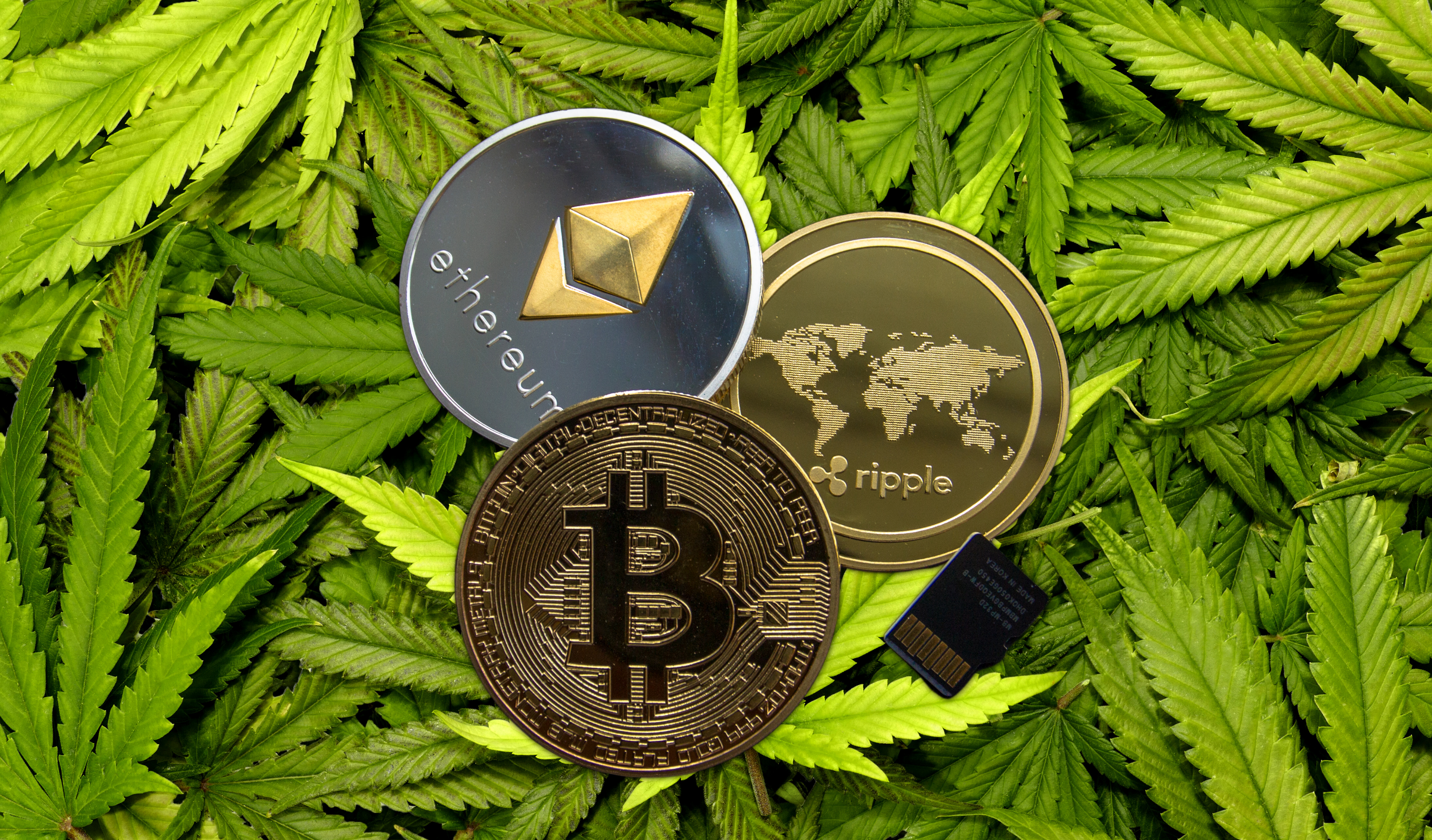 CBD products - Shops, markets - pay with Bitcoin and Altcoins