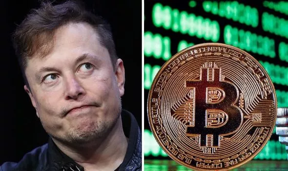 Elon Musk's Tesla (TSLA) Didn't Buy or Sell Any Bitcoin (BTC) During the Third Quarter