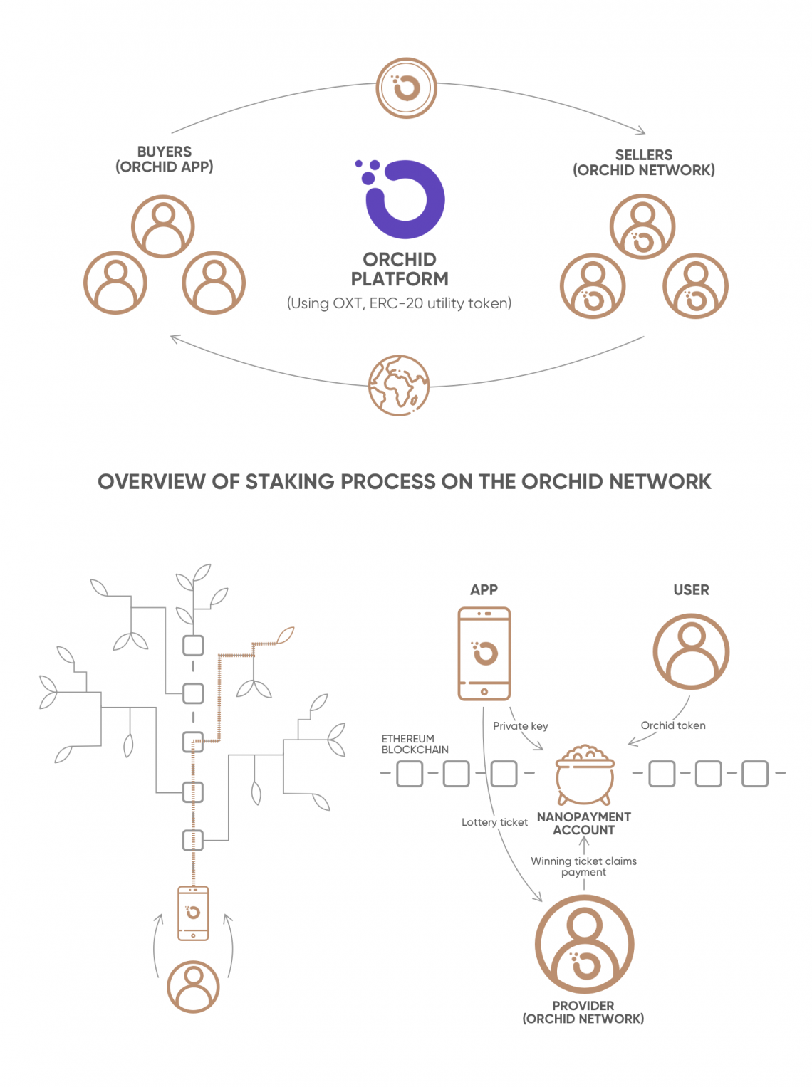 Orchid Price Prediction , & - Is OXT a good Investment?