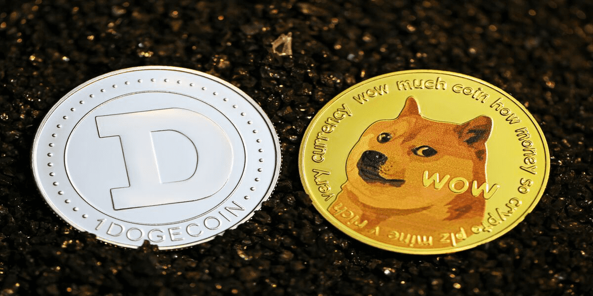 48% of Dogecoin (DOGE) Supply Under Influence of 10 Addresses