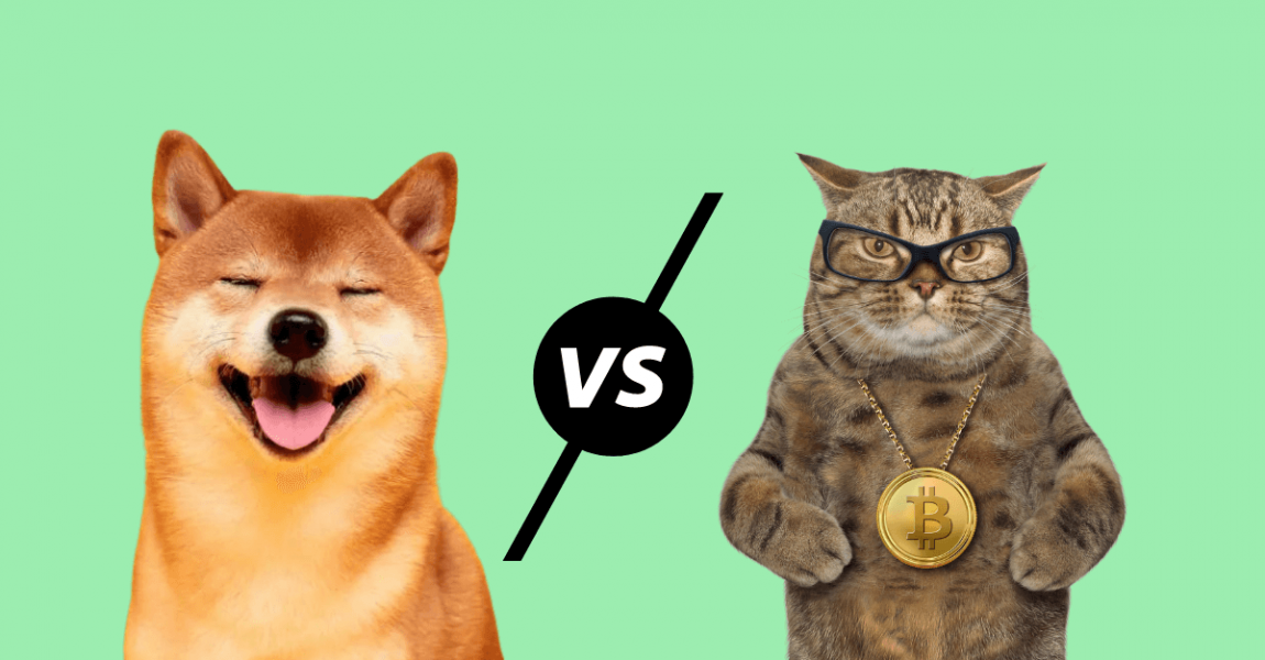 DOGE-CAT (DOGECAT) live coin price, charts, markets & liquidity