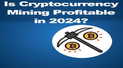 Bitcoin Halving: How to Keep Your Mining Profitable - Cruxpool