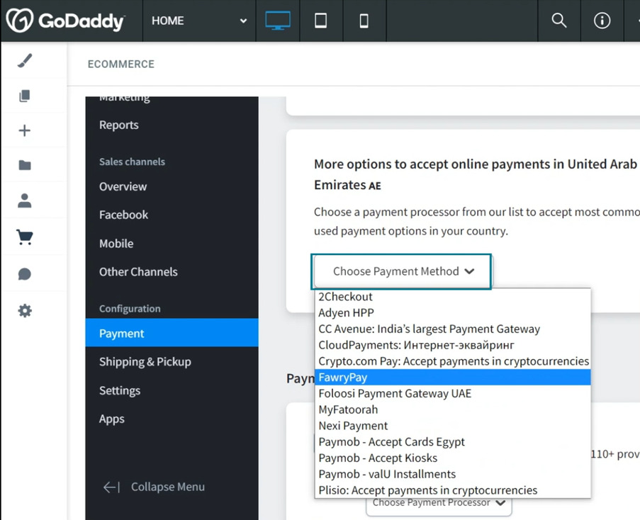 What is GoDaddy Payments?