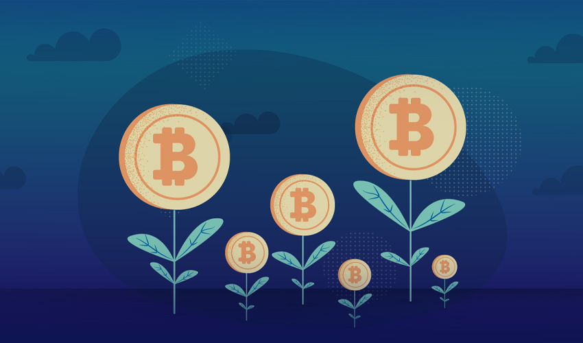 11 Ways To Earn Free Crypto | Bankrate