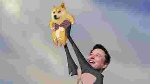 Elon Musk Tweets That He Bought Dogecoin for His Son, Sparks 16% Surge