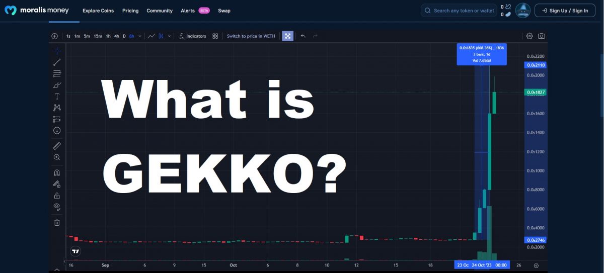 Gekko Price Today - GEKKO to US dollar Live - Crypto | Coinranking