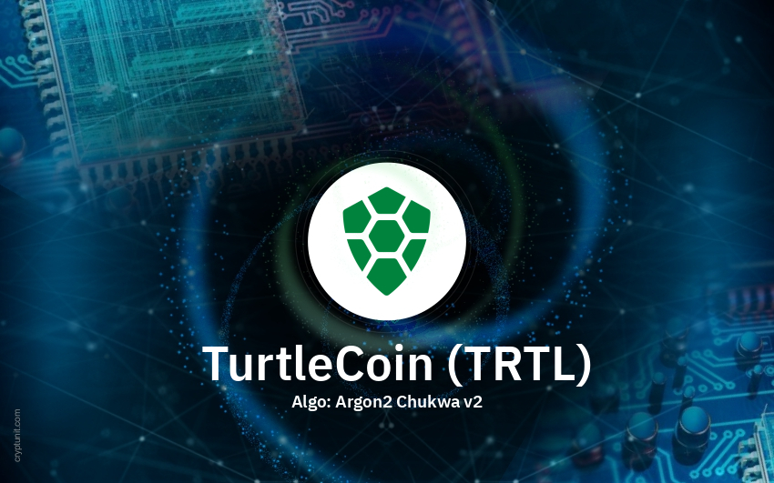 Projects · turtlecoin · GitHub