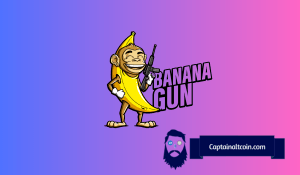 Banana Gun (BANANA) Pre-sale Token Sale Review & Tokenomics Analysis | cryptolove.fun