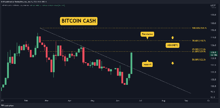 Bitcoin Cash Price