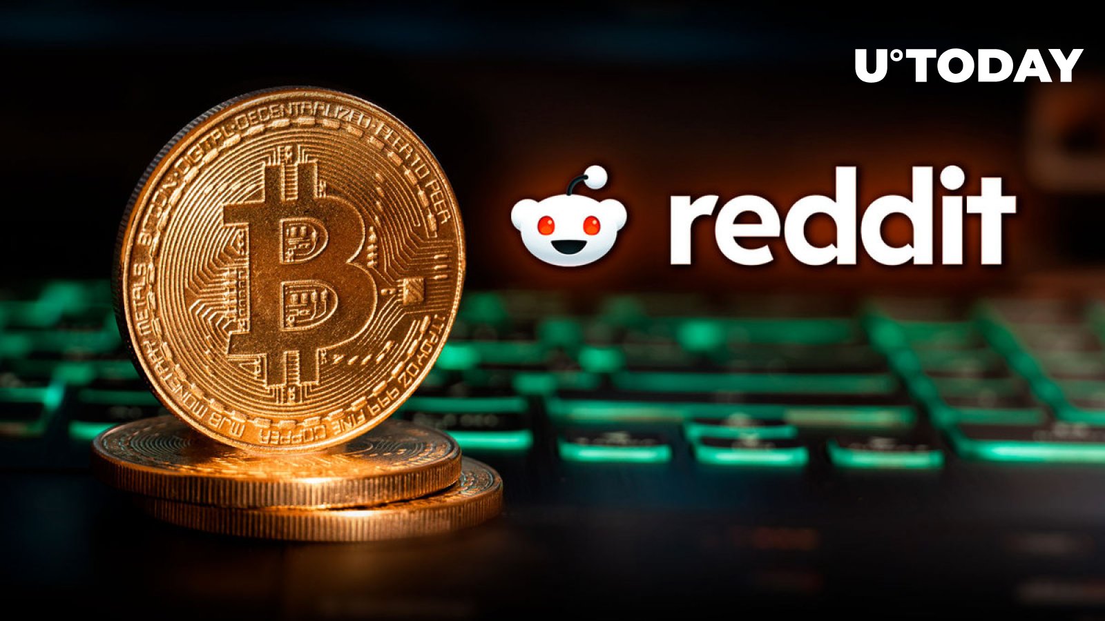 11 Best Cryptocurrencies To Invest In For Beginners According To Reddit