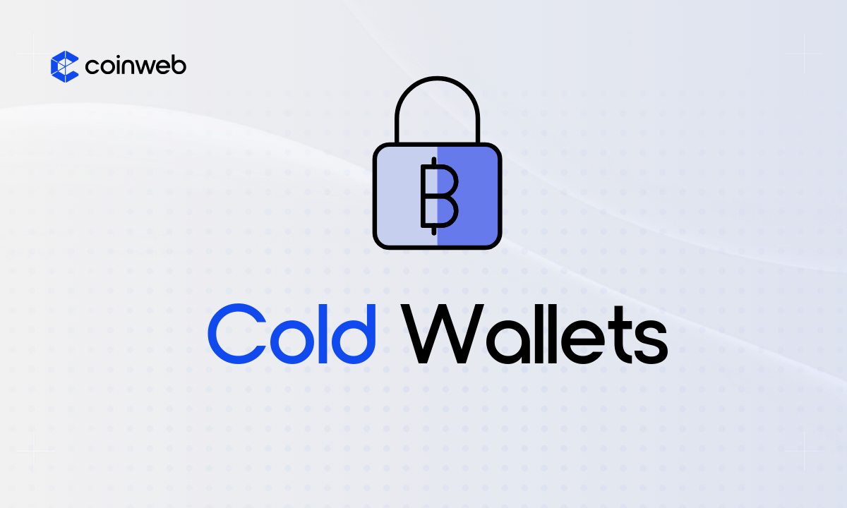 Hot Wallet vs Cold Crypto Wallet: What’s The Difference? | Ledger