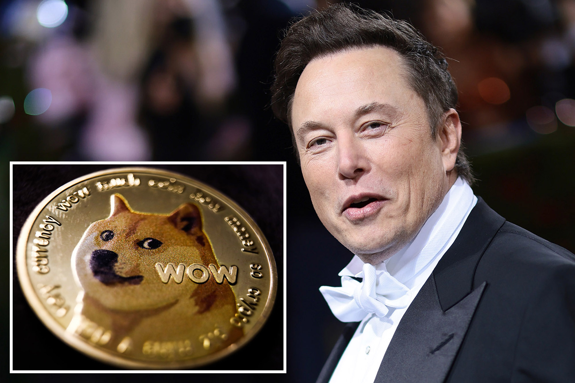 Dogecoin Value Surges 15% After Elon Musk’s Remarks