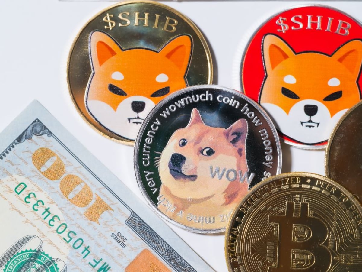 Dogecoin (DOGE) vs Shiba Inu (SHIB) – Which Is the Most Profitable Memecoin?