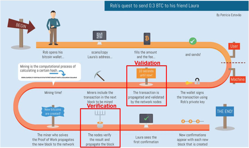 Understanding Node and Its Function in Blockchain - Pintu Academy