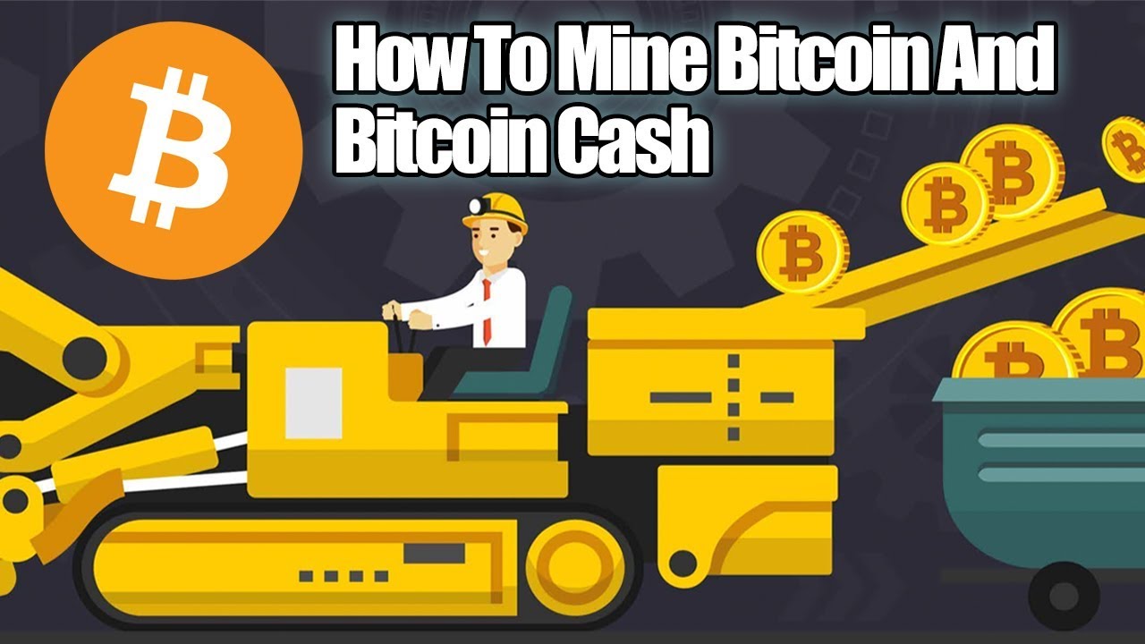 Best Bitcoin Cash BCH Mining Pool - 2Miners