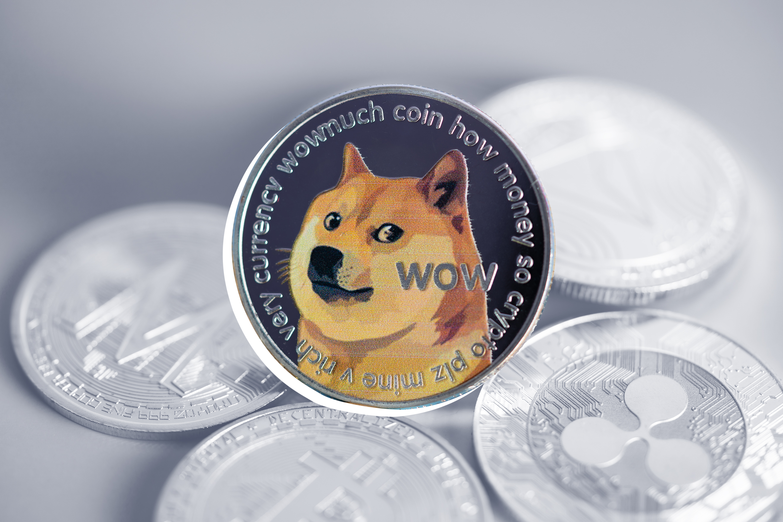 How To Buy Dogecoin On Coinbase? Everything You Need To Know | IBTimes