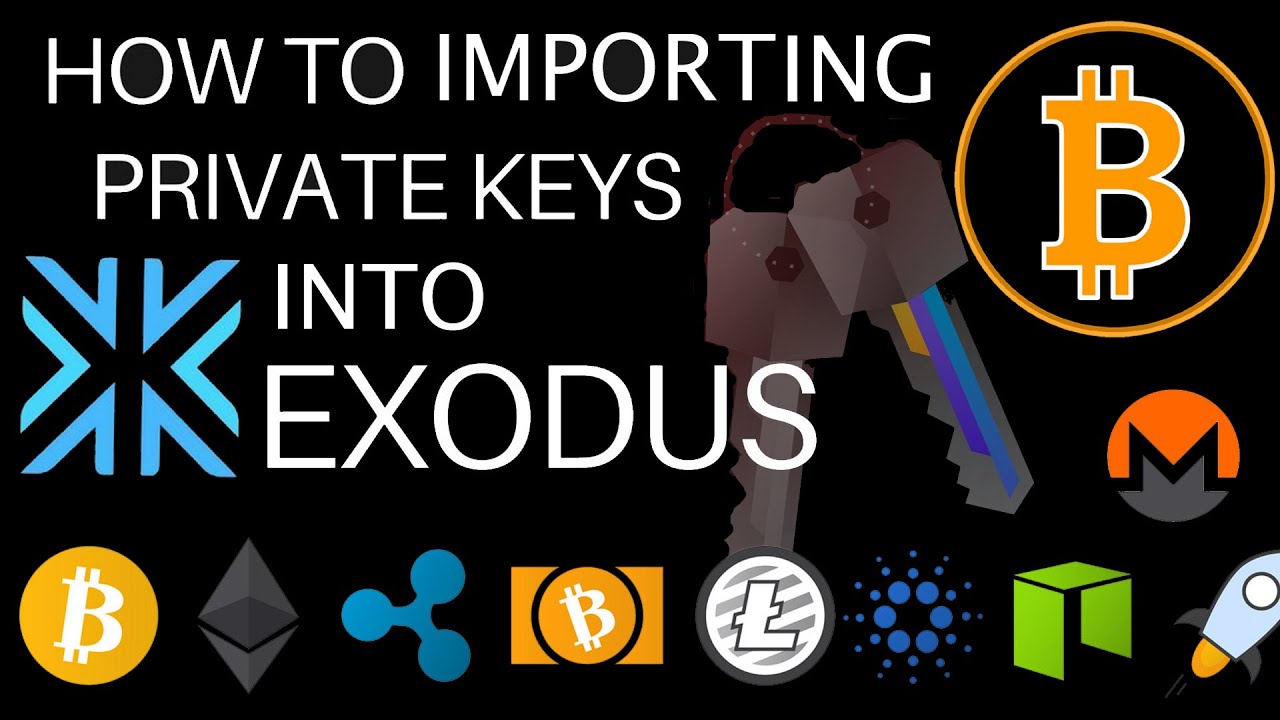 Discover benefits of Exodus Wallet Development with OmiSoft - OmiSoft