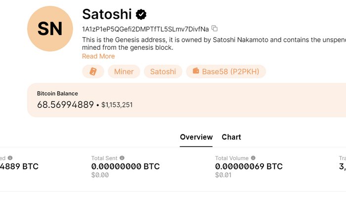 The Enigmatic Identity of Bitcoin's Creator: Unmasking Satoshi Nakamoto