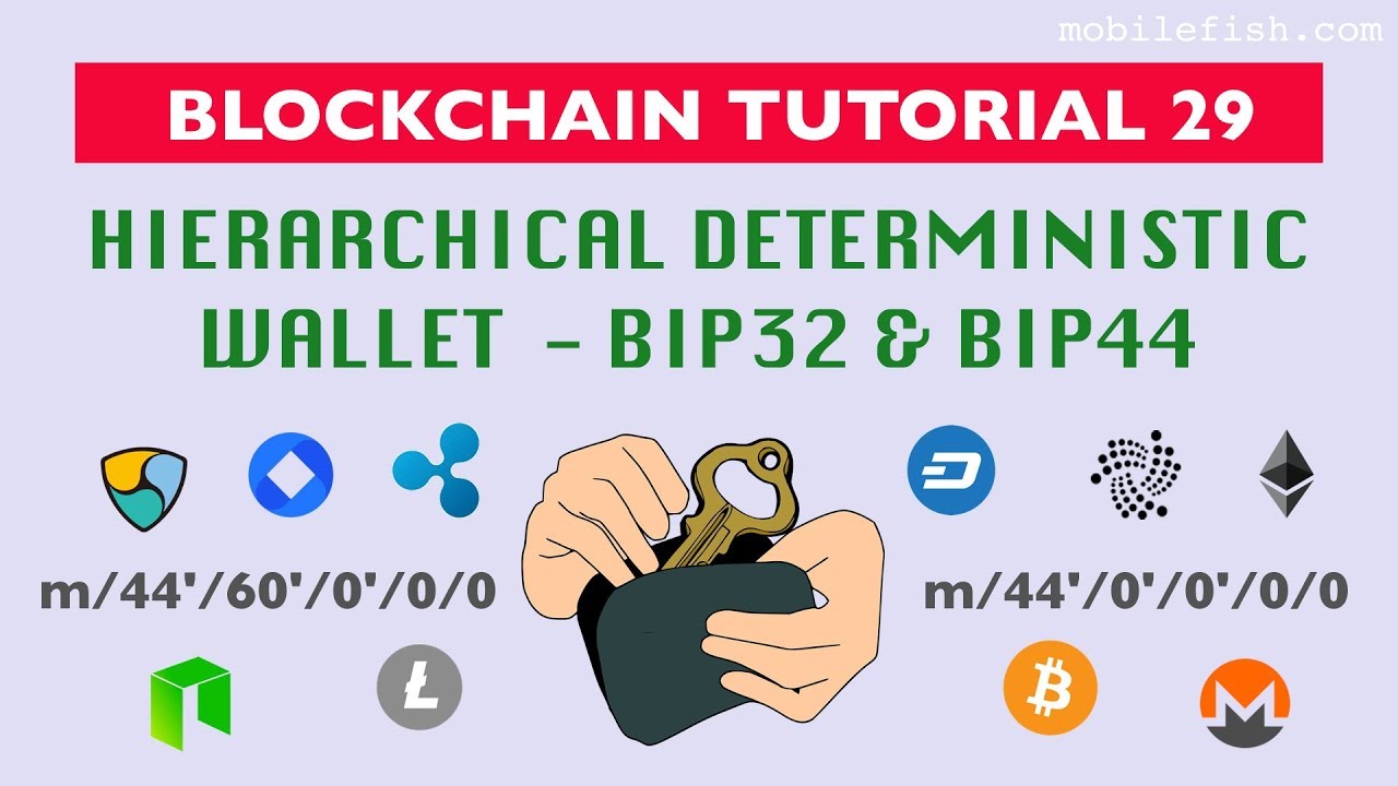 What Are Hierarchical Deterministic (HD) Crypto Wallets? - ImmuneBytes