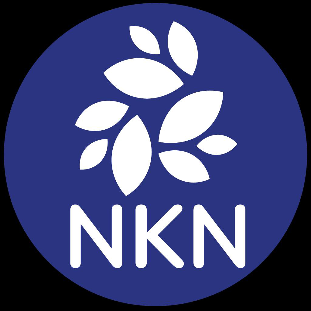 New Kind of Network Price | NKN Price Index and Live Chart - CoinDesk