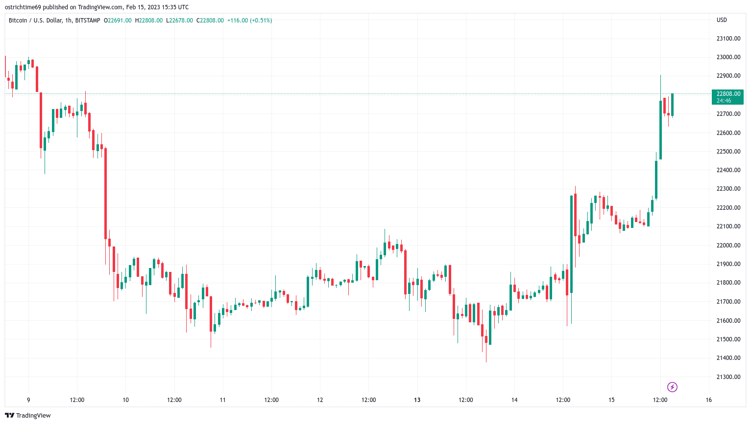 Bitcoin Price | BTC USD | Chart | Bitcoin US-Dollar | Markets Insider